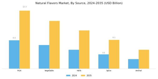 Natural Flavors Market Segment Image 1