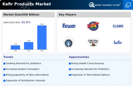 Kefir Products Market Infographic