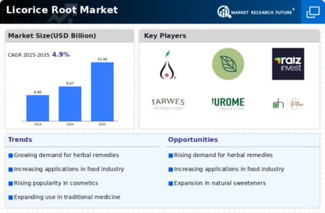 Licorice Root Market Infographic