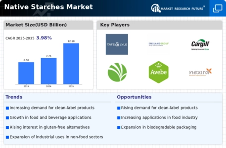 Native Starches Market Infographic