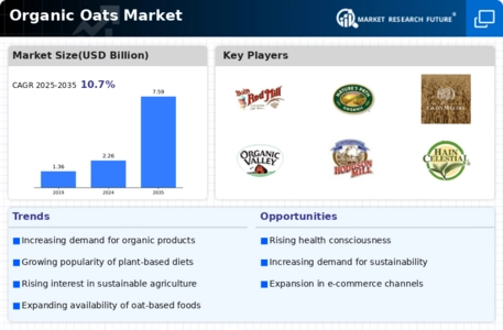Organic Oats Market Infographic Organic Oats Market Infographic
