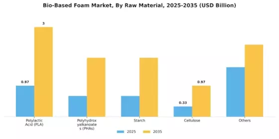 Bio Based Foam Market Segment Image 0