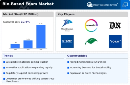 Bio Based Foam Market Infographic