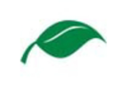 Bio Based Foam Market key player