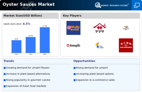 Oyster Sauces Market  Infographic