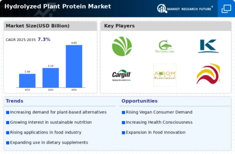 Hydrolyzed Plant Protein Market Infographic