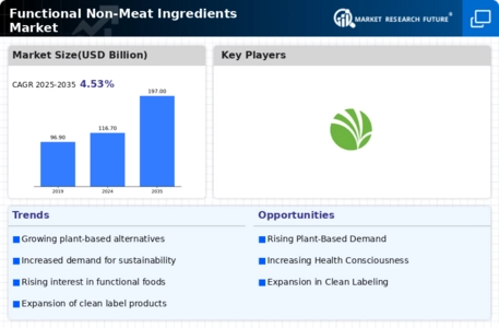 Functional Non-Meat Ingredients Market  Infographic
