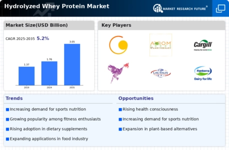 Hydrolyzed Whey Protein Market Infographic