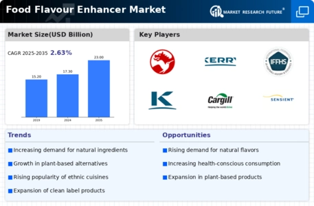 Food Flavour Enhancer Market Infographic