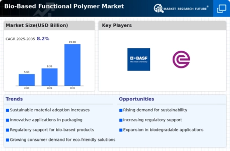 Bio Based Functional Polymer Market Infographic