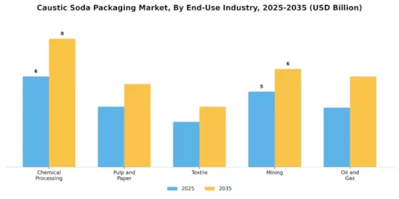 Caustic Soda Packaging Market Segment Image 3