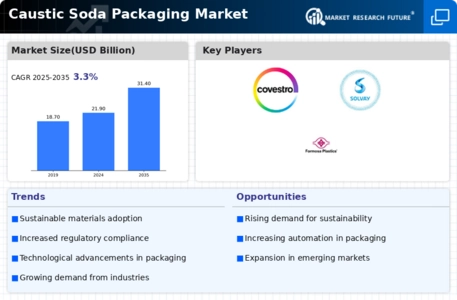 Caustic Soda Packaging Market Infographic