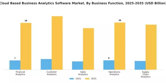 Cloud Based Business Analytics Software Market Segment Image 1