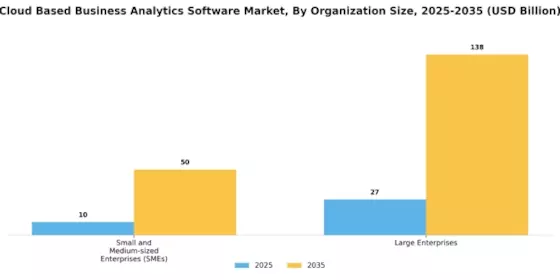 Cloud Based Business Analytics Software Market Segment Image 2