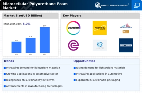 Microcellular Polyurethane Foam Market Infographic