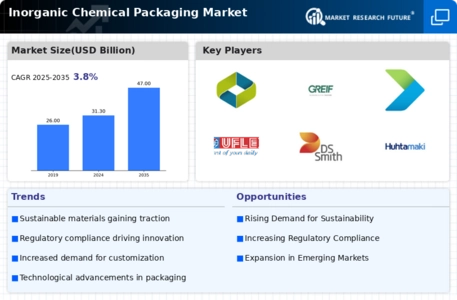 Inorganic Chemical Packaging Market Infographic