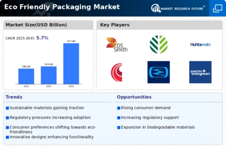 Eco Friendly Packaging Market Infographic