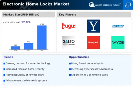 Electronic Home Locks Market Infographic