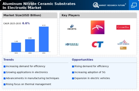 Aluminum Nitride Ceramic Substrates In Electronic Market Infographic
