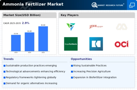 Ammonia Fertilizer Market Infographic