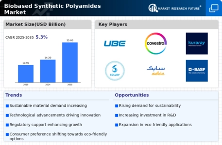 Biobased Synthetic Polyamides Market Infographic