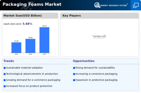 Packaging Foams Market Infographic