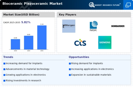 Bioceramic Piezoceramic Market Infographic