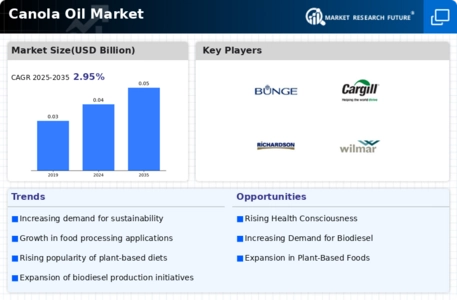 Canola Oil Market Infographic