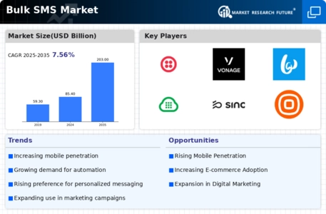 Bulk SMS Market Infographic