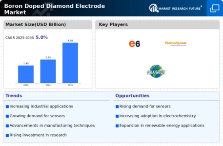 Boron Doped Diamond Electrode Market Infographic