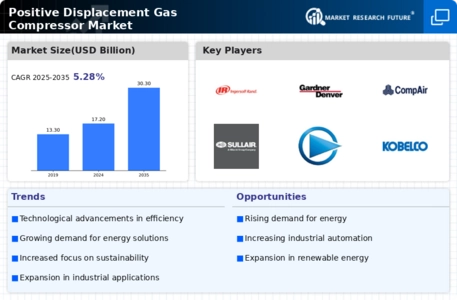 Positive Displacement Gas Compressor Market Infographic