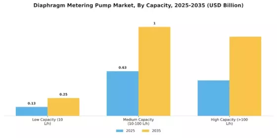 Diaphragm Metering Pump Market
 Segment Image 3