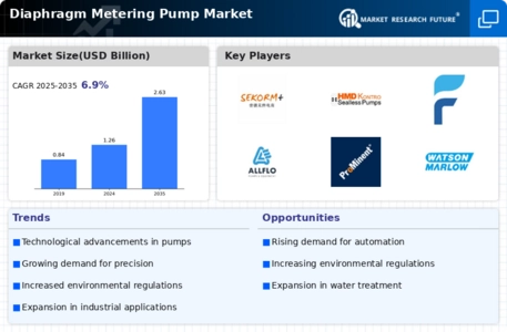 Diaphragm Metering Pump Market
 Infographic