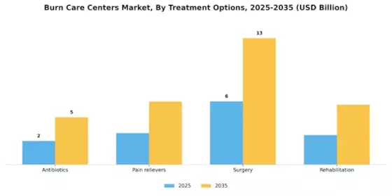 Burn Care Centers Market Segment Image 1