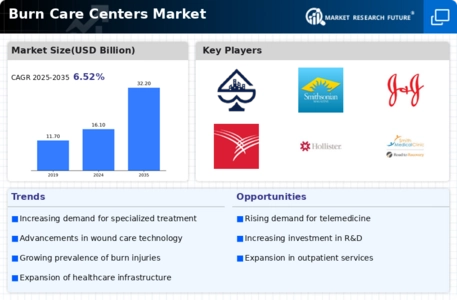 Burn Care Centers Market Infographic