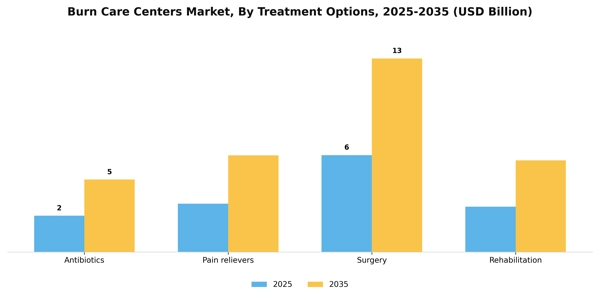 Burn Care Centers Market Segment Image 2