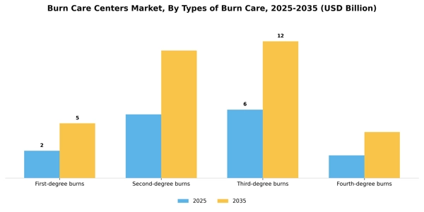 Burn Care Centers Market Segment Image 3