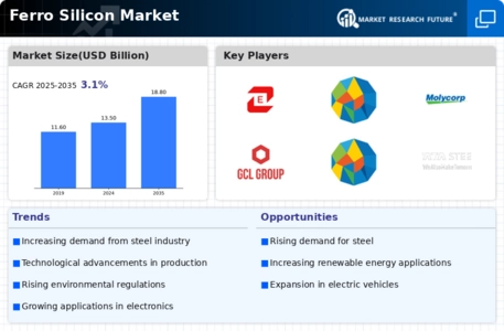 Ferro Silicon Market Infographic