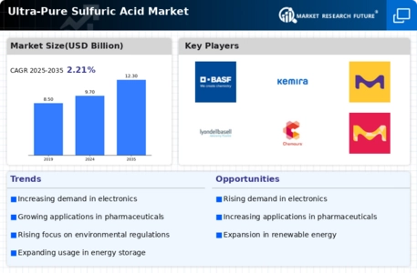 Ultra Pure Sulfuric Acid Market Infographic