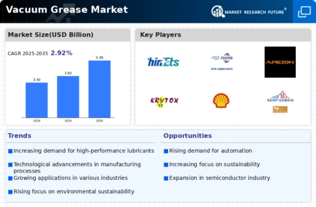 Vacuum Grease Market Infographic