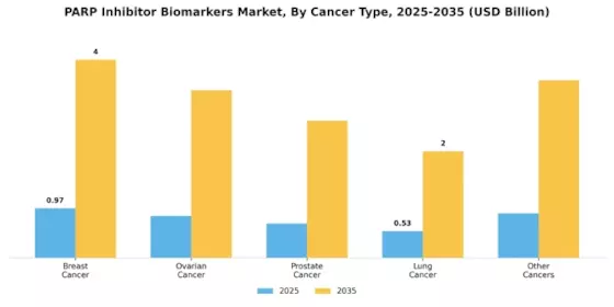 Parp Inhibitor Biomarkers Market Segment Image 0