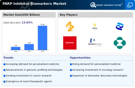 Parp Inhibitor Biomarkers Market Infographic