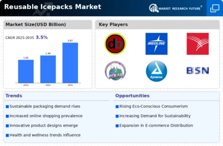 Reusable Icepacks Market Infographic