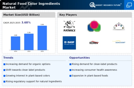Natural Food Color Ingredients Market Infographic