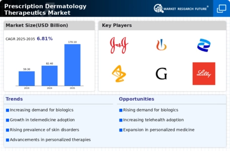 Prescription Dermatology Therapeutics Market Infographic