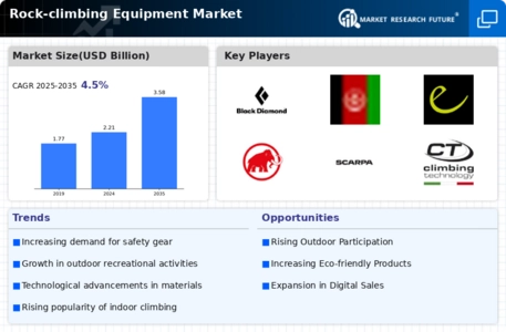 Rock Climbing Equipment Market
 Infographic
