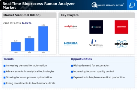 Real Time Bioprocess Raman Analyzer Market Infographic