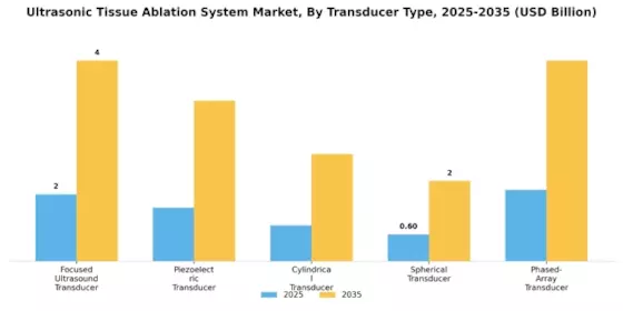 Ultrasonic Tissue Ablation System Market Segment Image 2