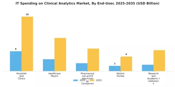 It Spending On Clinical Analytics Market Segment Image 3