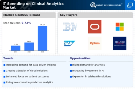 It Spending On Clinical Analytics Market Infographic